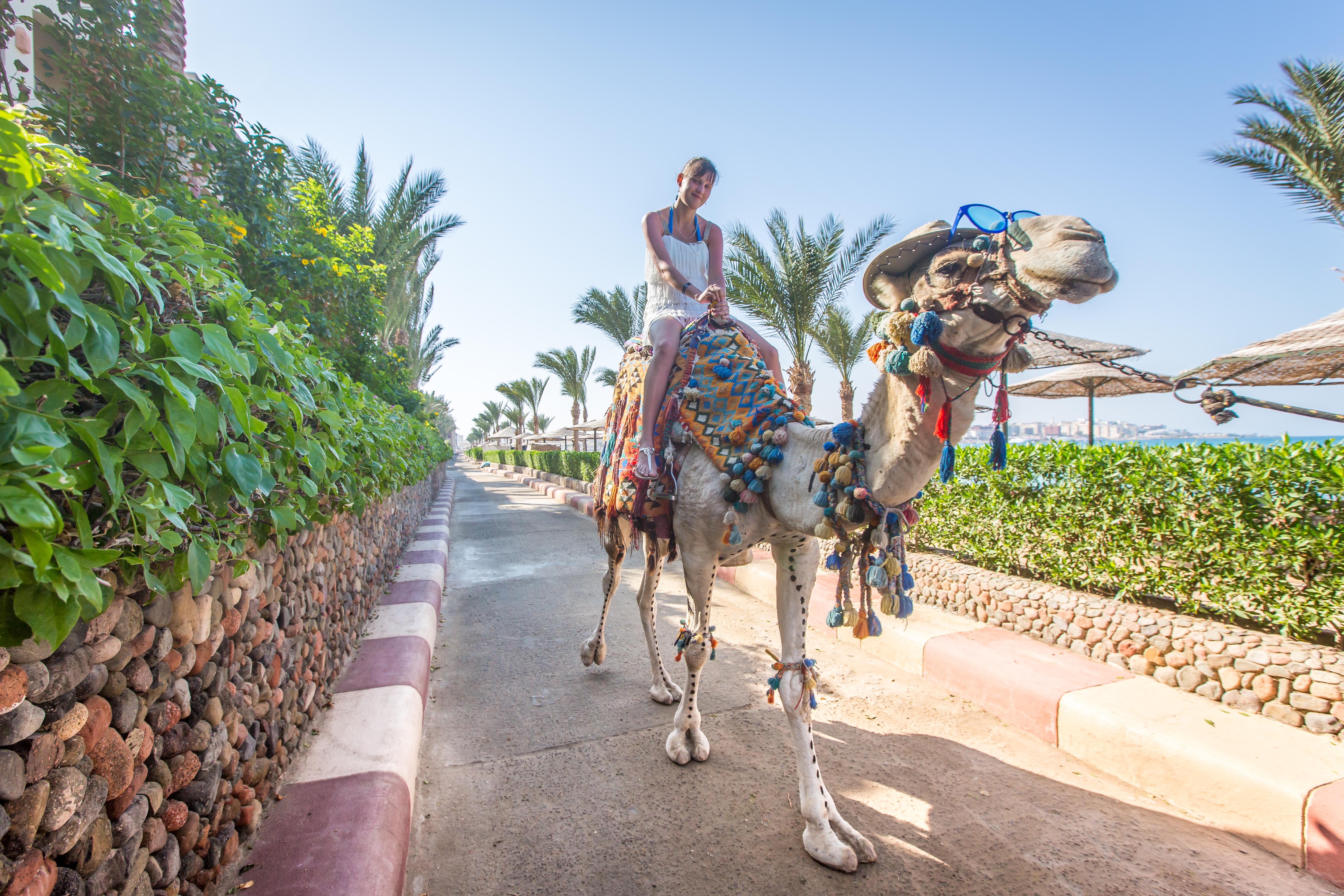 Sunny Days El Palacio Resort & Spa Hurgada Dış mekan fotoğraf